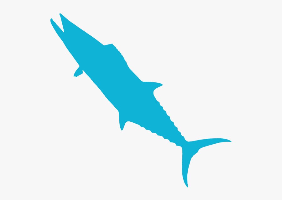 80 Clipart , Png Download - Atlantic Blue Marlin, Transparent Clipart