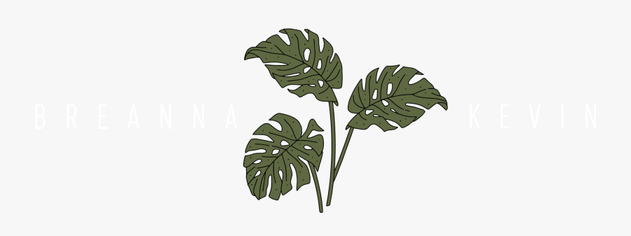 Breanna Kevin - Illustration, Transparent Clipart
