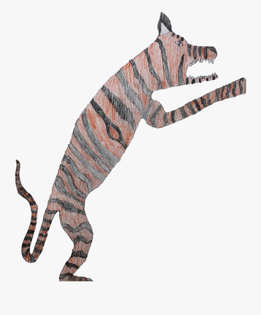 Bengal Tiger Panthera Tigris Tigris - Tiger, Transparent Clipart