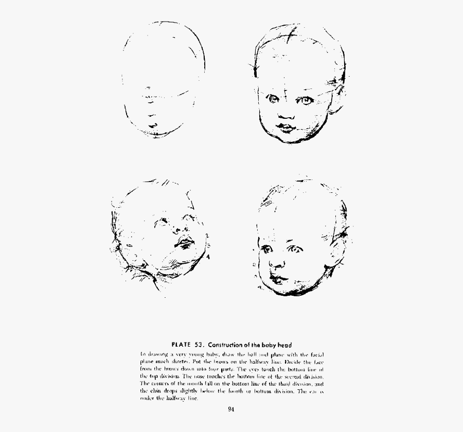 Andrew Loomis Drawing The Head And Hands 85 - Sketch, Transparent Clipart