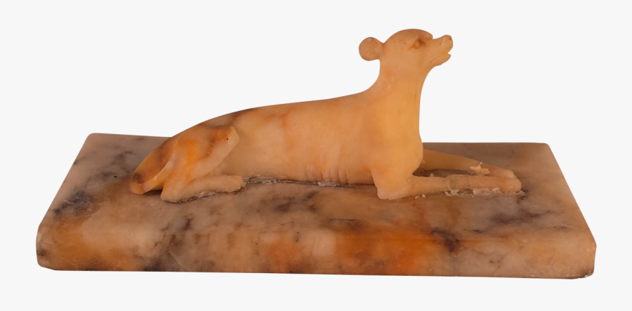 Transparent Greyhound Png - Puma, Transparent Clipart