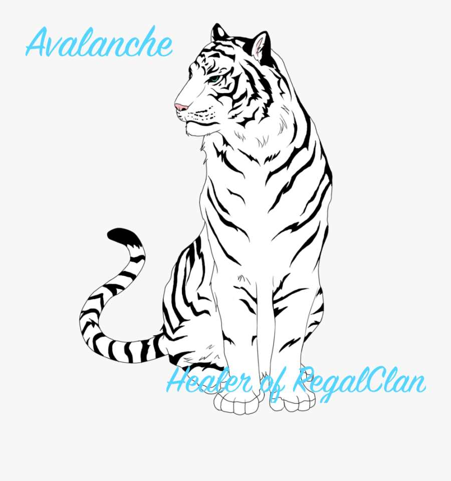 Drawn White Tiger Tiger Eyes - Draw A White Tiger, Transparent Clipart