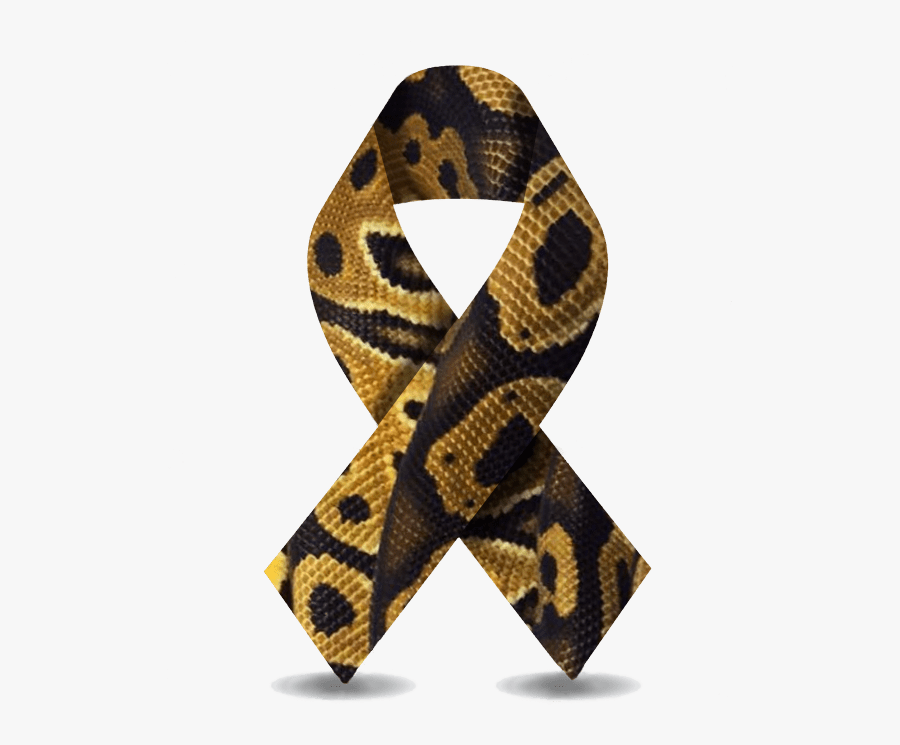 Support Reptile Genetics Research - Python, Transparent Clipart