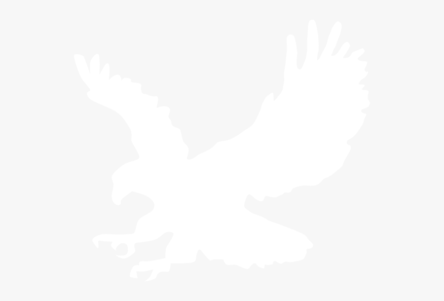Wedge Tail Eagle Outline - Wedge Tailed Eagle Silhouette, Transparent Clipart