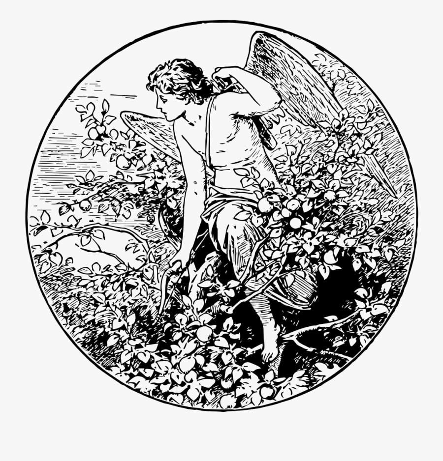 Line Art,mythology,art - Eros God Black And White, Transparent Clipart