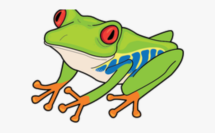 Red Eyed Tree Frog Clipart, Transparent Clipart