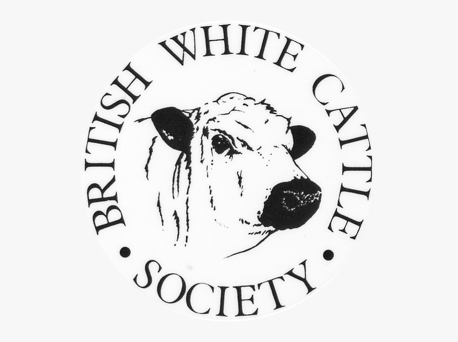 Classical Association Of Scotland, Transparent Clipart