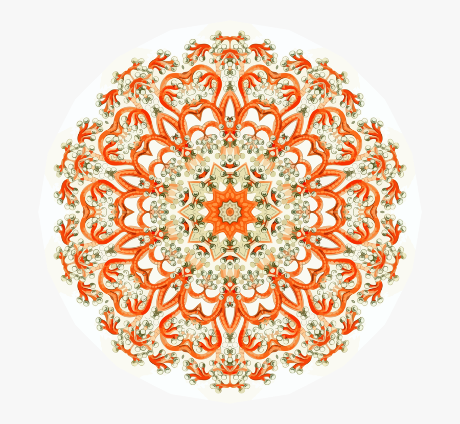 Visual Arts,flower,symmetry - Circle, Transparent Clipart