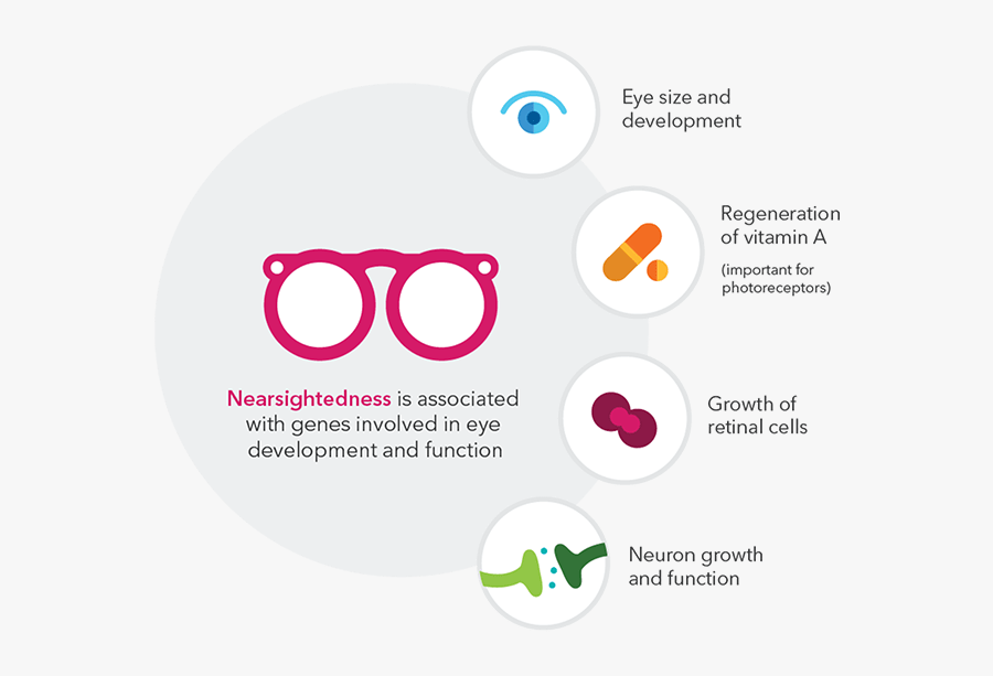 Transparent Blood Test Clipart - Circle, Transparent Clipart