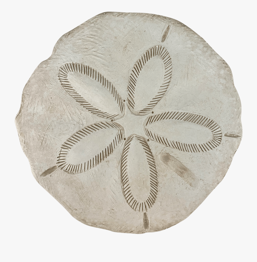 Us Know The Thrill Of Spotting A Little White, Round - Sand Dollar, Transparent Clipart