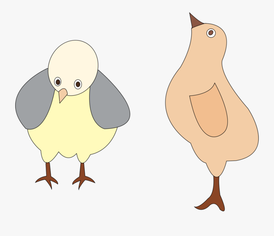 Parrot,bird,galliformes - Ayam Grafis, Transparent Clipart