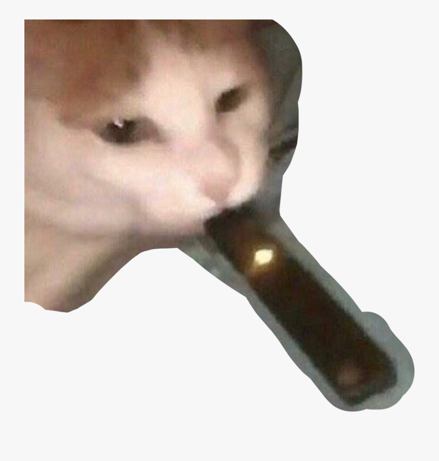 #juul #cat #freetoedit - Cat, Transparent Clipart
