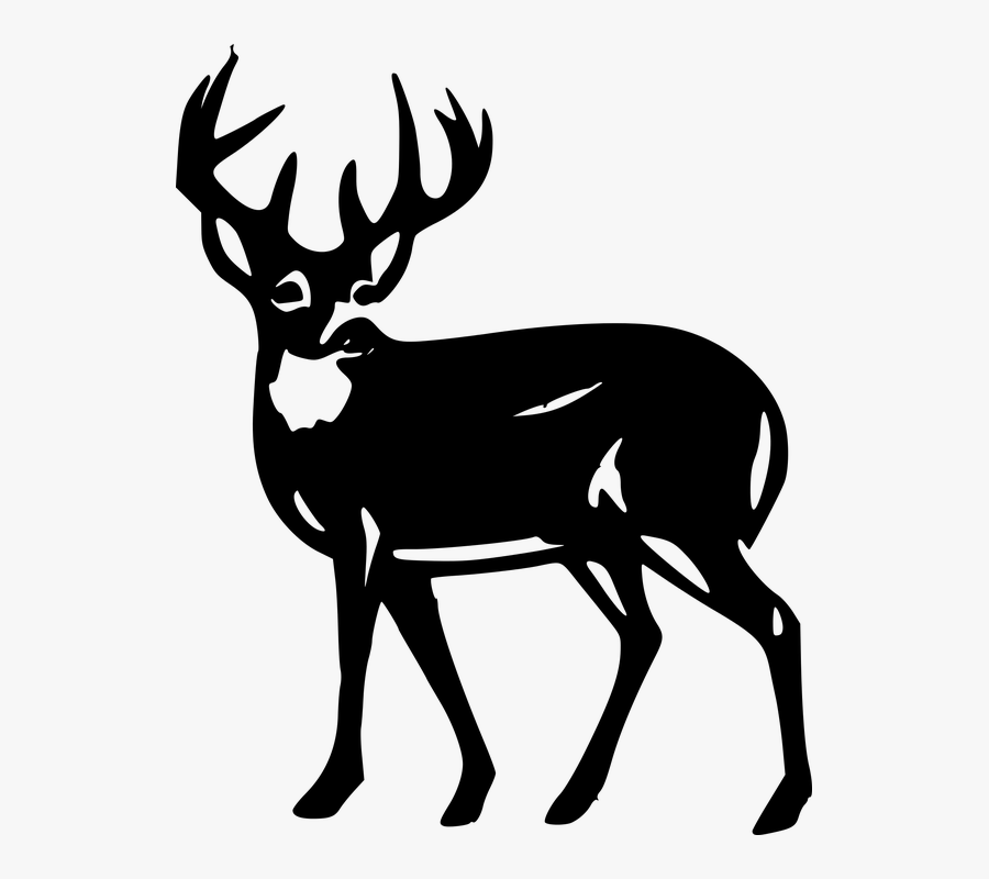 Whitetail Deer Silhouette Clip Art, Transparent Clipart