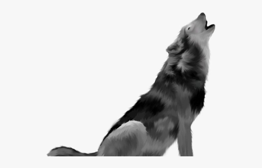 Vertebrate,dog And White,border Collie,working Dog,herding - Howling Wolf Transparent Background, Transparent Clipart