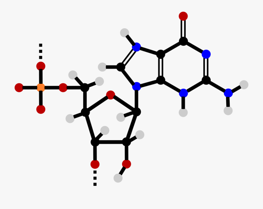 Diagram,line,nucleotide - Atp Molecule, Transparent Clipart