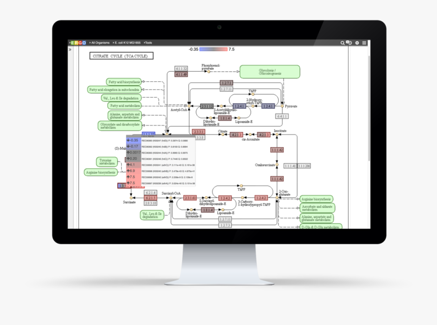 Transparent Gene Png - Computer Monitor, Transparent Clipart