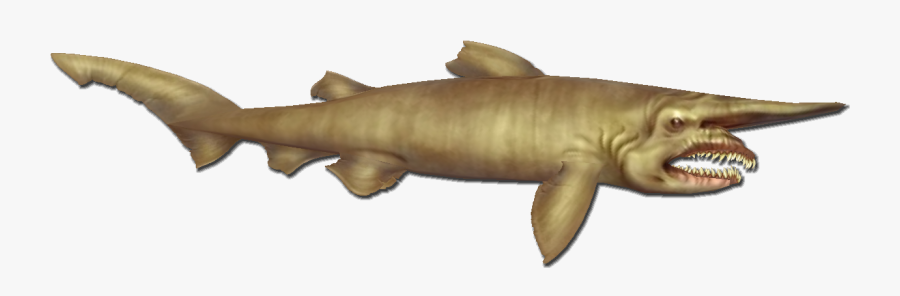 Transparent Shark Png Transparent - Goblin Shark Clipart, Transparent Clipart