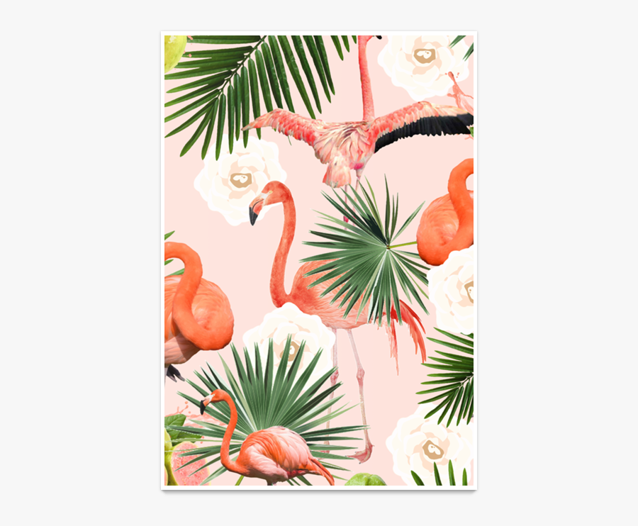 Clip Art Flamingo Posters - Poster Flamingos, Transparent Clipart