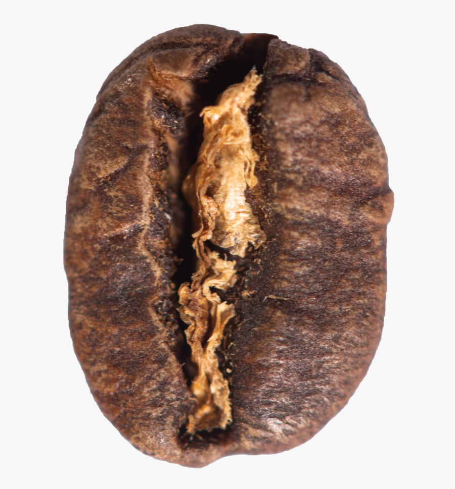 Eggplant, Transparent Clipart