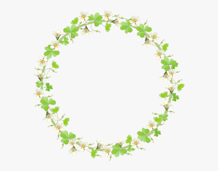 San Patricio - Rose, Transparent Clipart