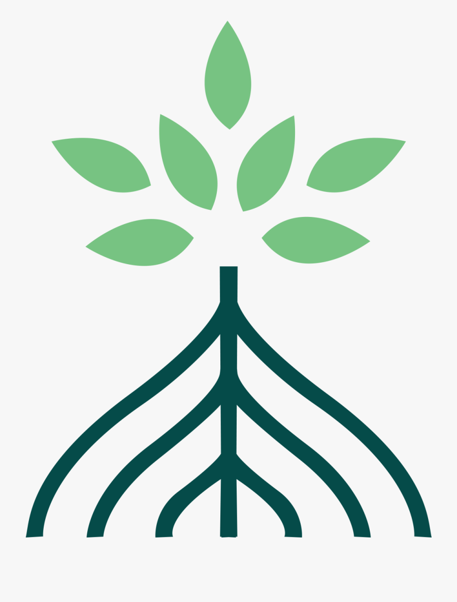 Mangrove Tree Mangrove Logo, Transparent Clipart