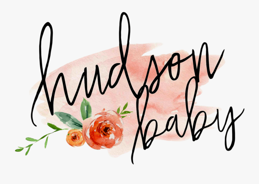 Rose, Transparent Clipart