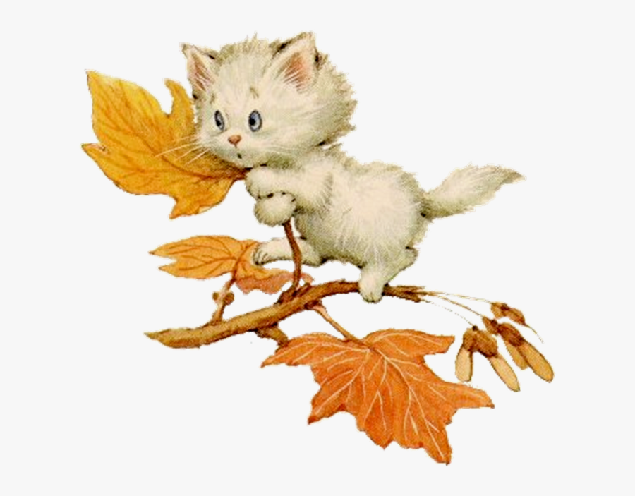 Rm Kitten In Tree - Silvita Blanco Otoño, Transparent Clipart