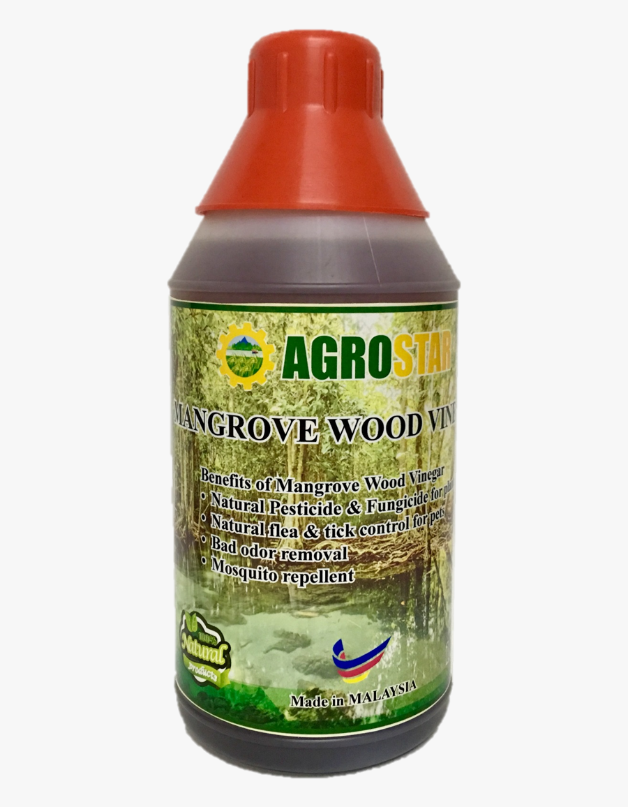 Fish, Transparent Clipart