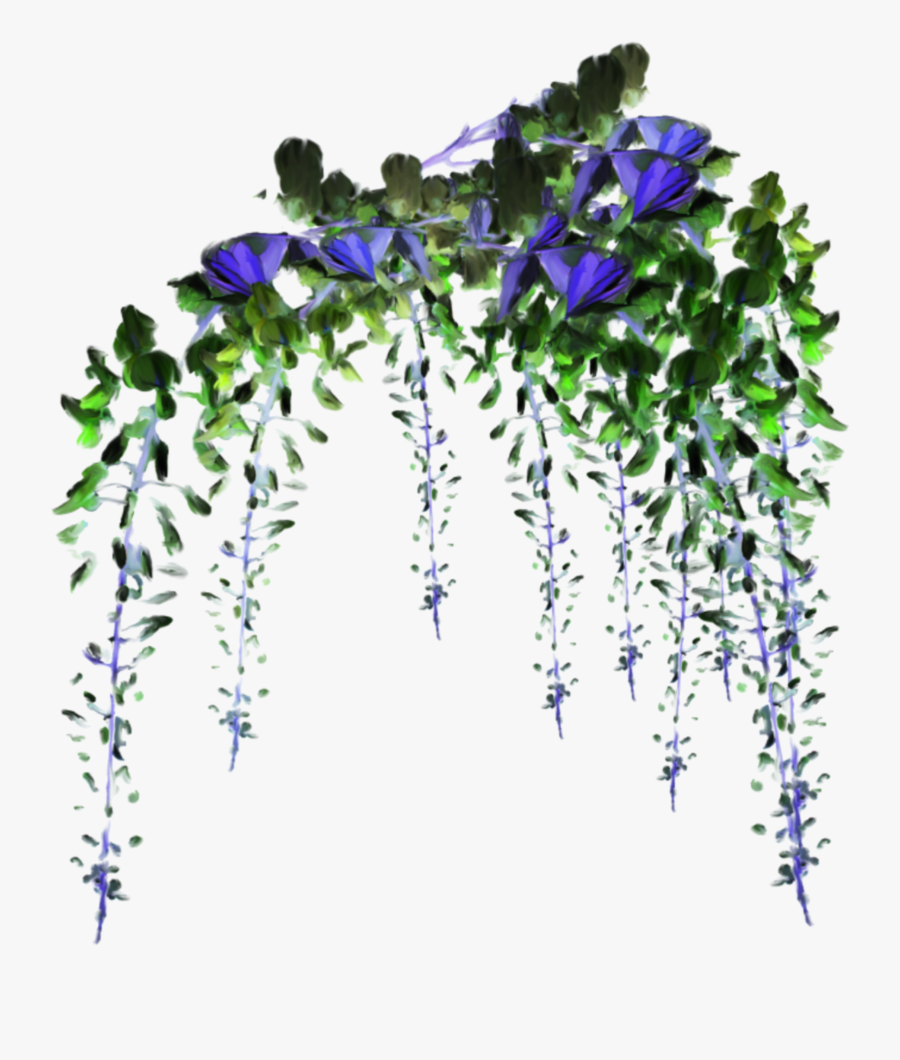 #flower #flowers #vine #vines #decoration #terrieasterly - Flowers Vine, Transparent Clipart