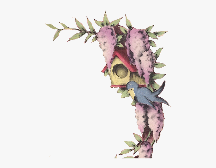 Birds Frame Png, Transparent Clipart