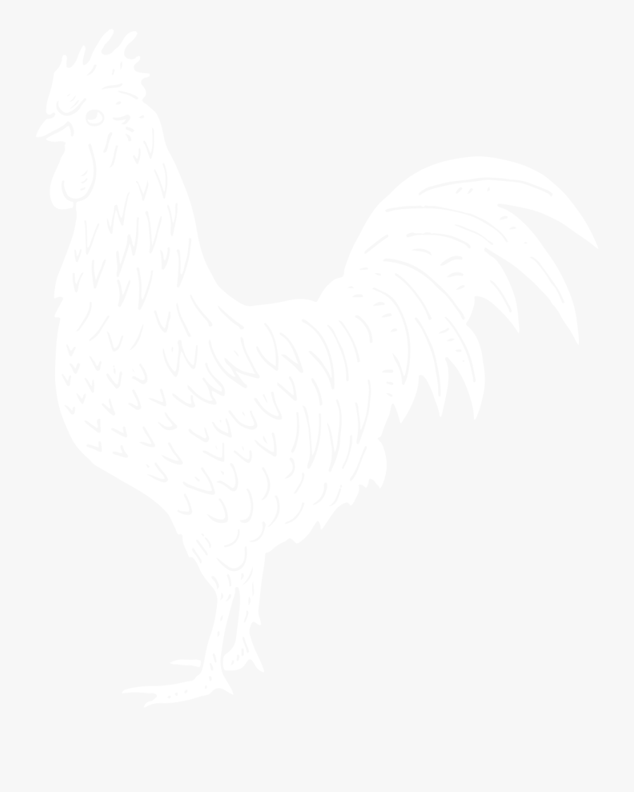 Transparent Rooster Png - New Hampshire Chicken Drawing, Transparent Clipart