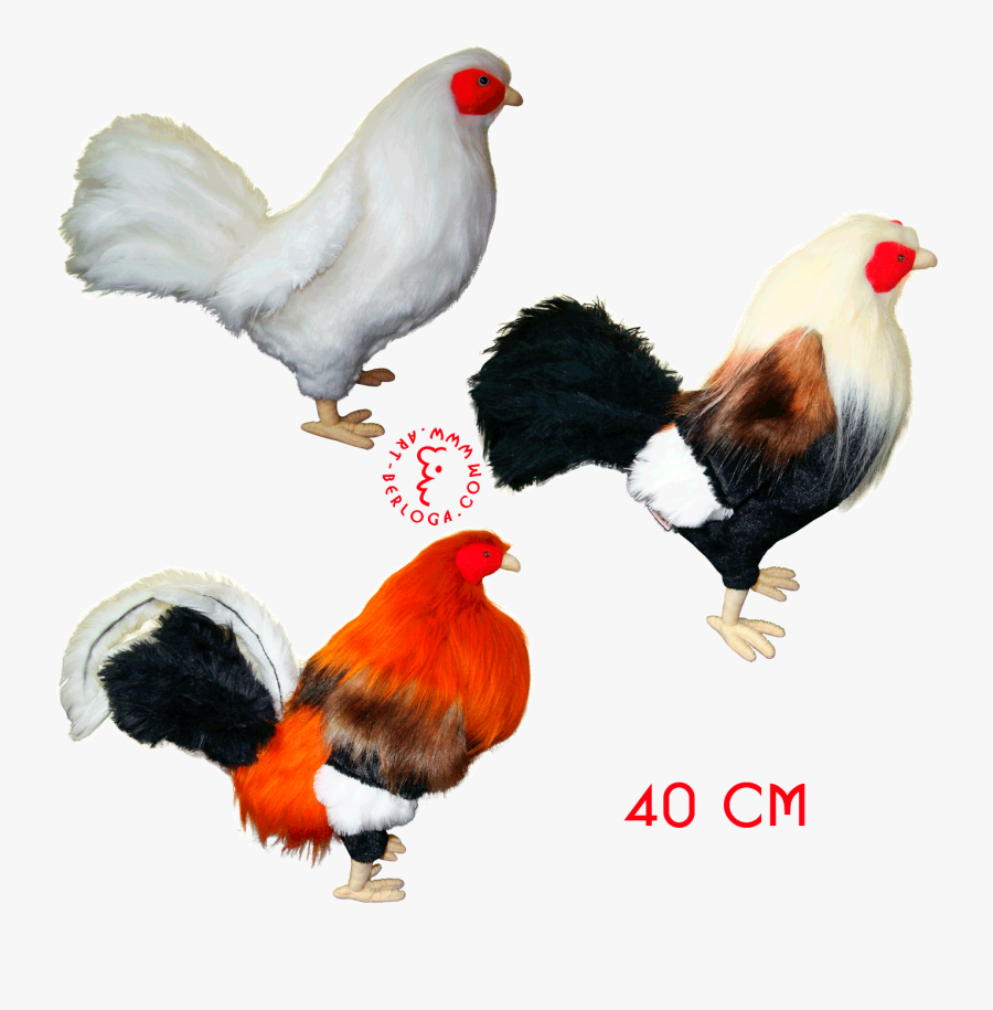 Exclusive Tailoring Of Fighting Roosters Plush Model - Rooster Fighting Toys, Transparent Clipart