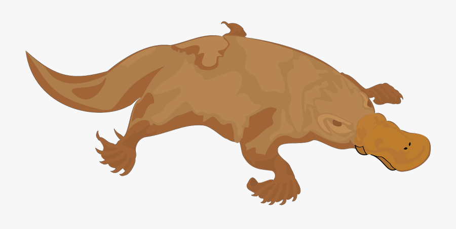 Vector Graphics,free Pictures - Duck Billed Platypus Silhouette, Transparent Clipart