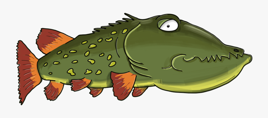 Fish,fish,cartoon,clip - Funny Cartoon Pike Fish Face, Transparent Clipart