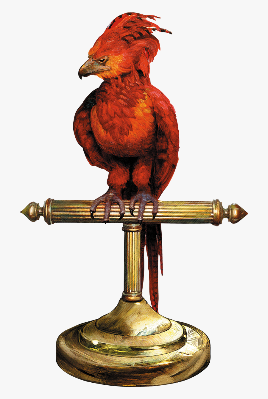 Download Phoenix Clipart Harry Potter Harry Potter Fox The Phoenix Free Transparent Clipart Clipartkey