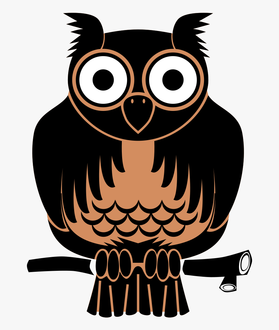 Owl, Transparent Clipart