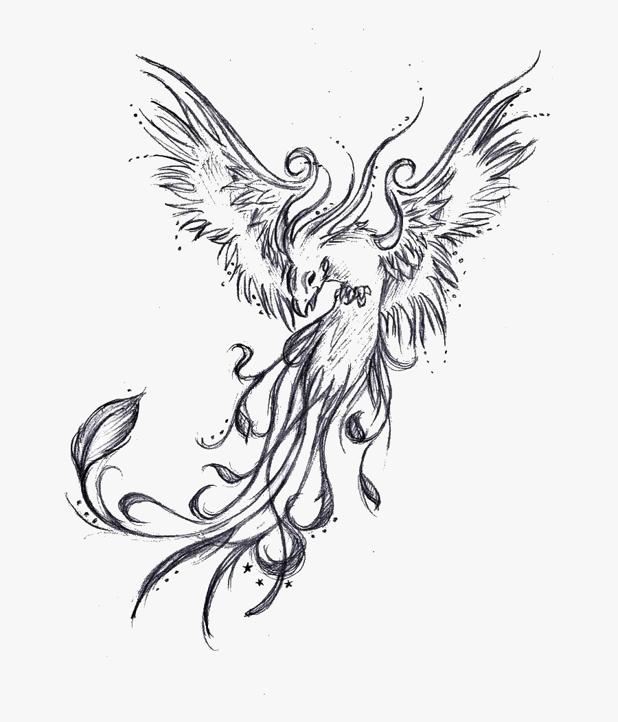 Tattoo Phoenix Sleeve Legendary Drawing Creature - Phoenix Rising From ...