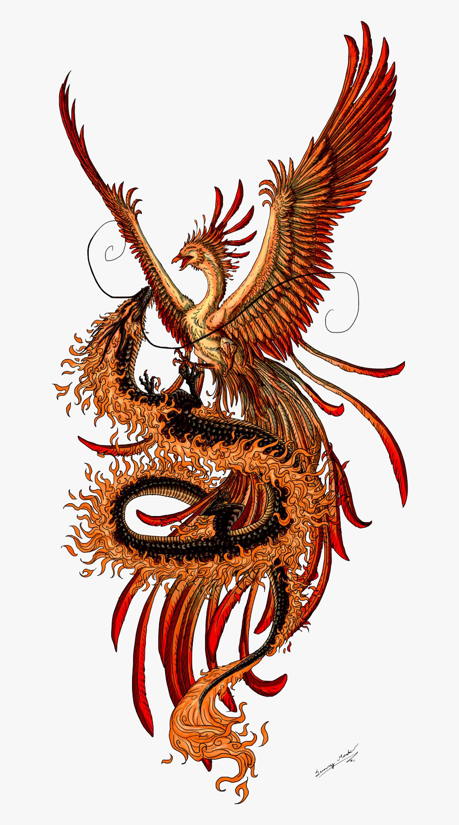 Tattoo Phoenix Chinese Tattoos Dragon Fenghuang Images - Dragon And Phoenix Fighting, Transparent Clipart