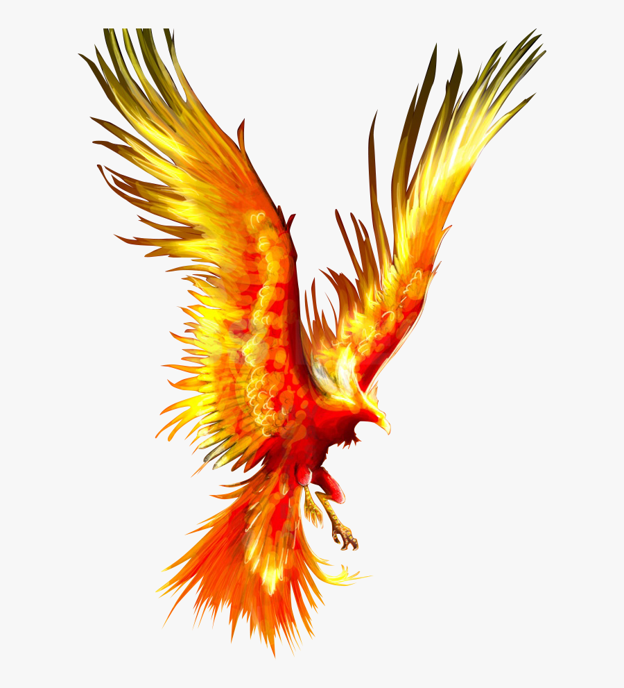 Tattoo Fireworks Mythology Firebird Phoenix Download - Phoenix Bird, Transparent Clipart