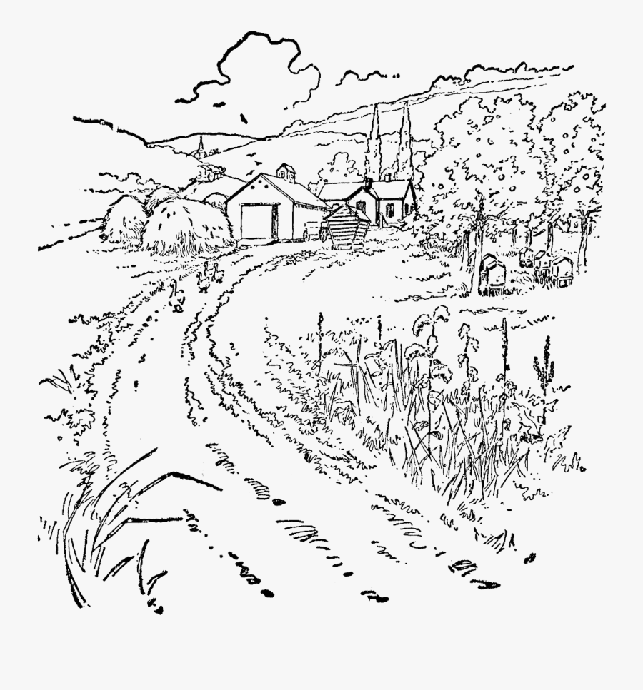 Line Art, Transparent Clipart