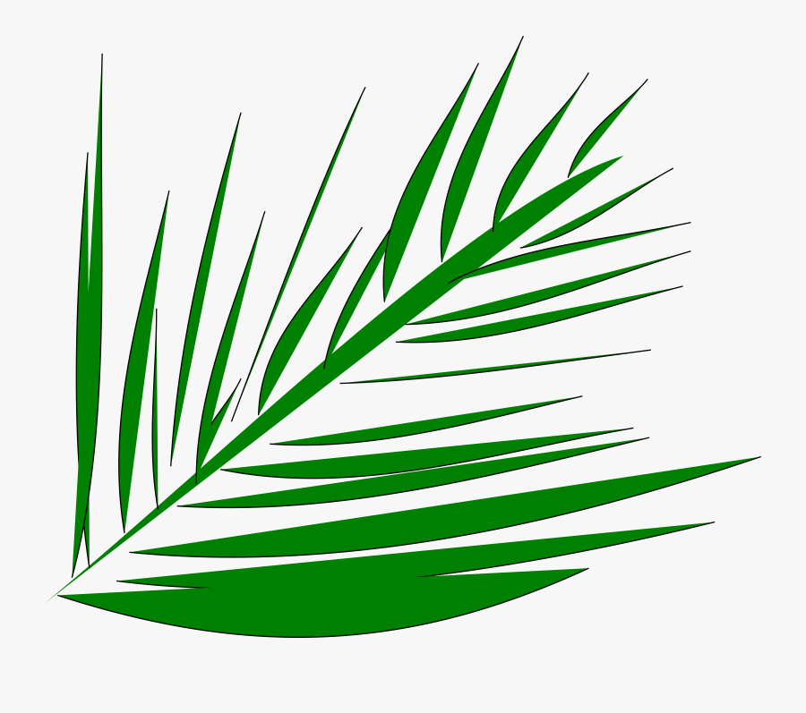 Palm Trees Lent Transparent Background Clipart , Png - Palm Tree Branch Clip Art, Transparent Clipart