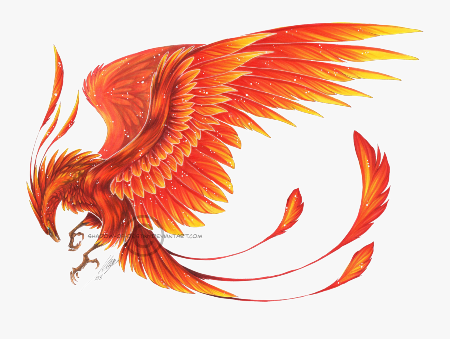 Clip Art Pin By Susan Sterett - Ibong Adarna Bird, Transparent Clipart