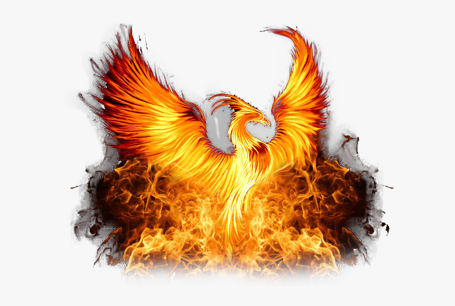 Phoenix Png, Transparent Clipart