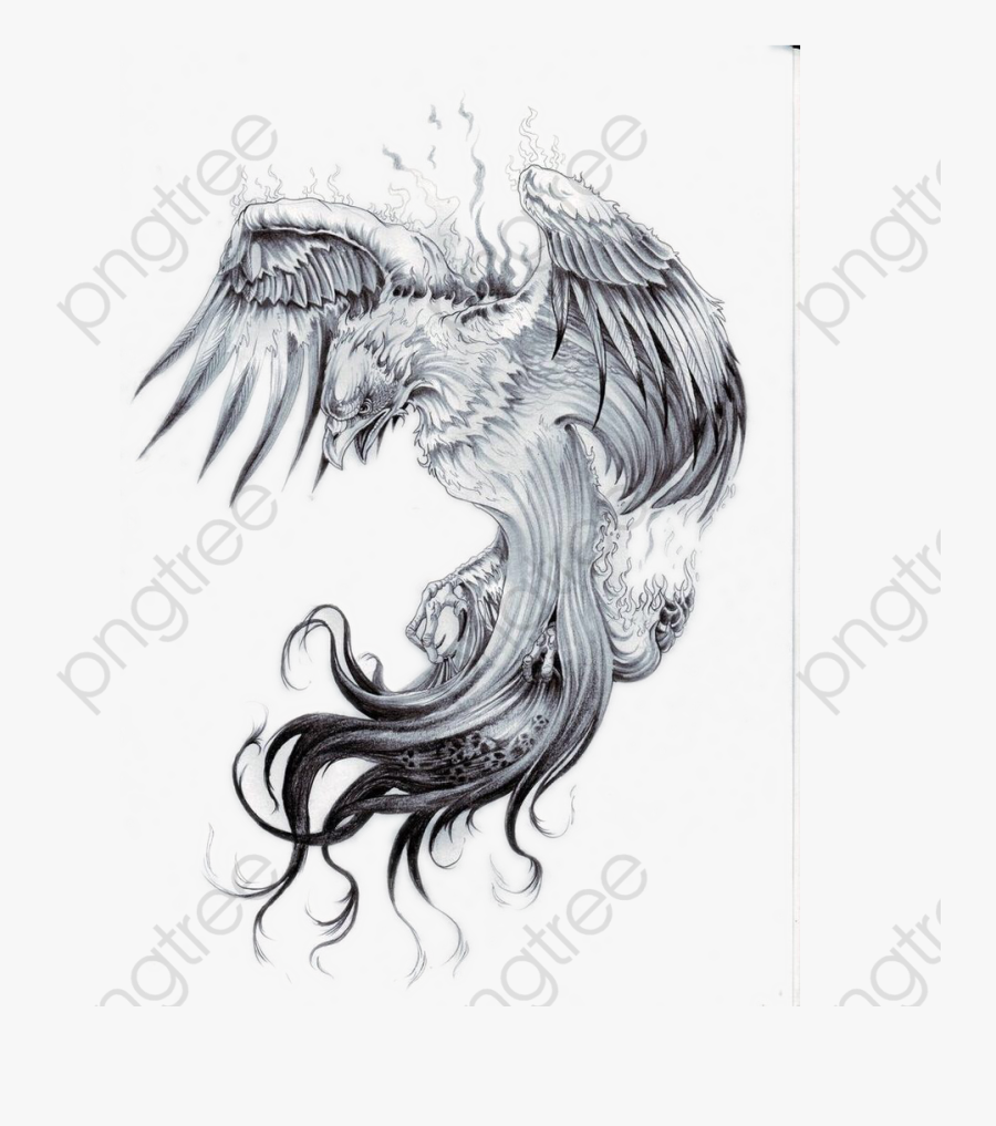 Camera Clipart Tattoo - Realistic Phoenix Tattoo Designs, Transparent Clipart