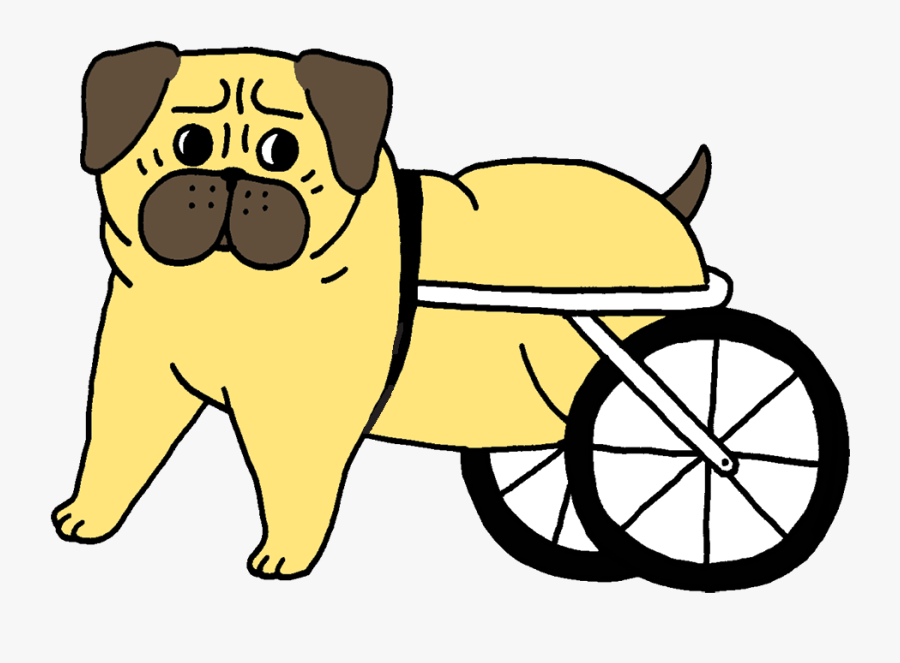 The Pug Crawl Is A Series Of Unfortunate Events Willamette - Gif Wheelchair Cartoon, Transparent Clipart