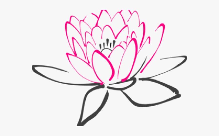 Lotus Flower Drawing Png, Transparent Clipart