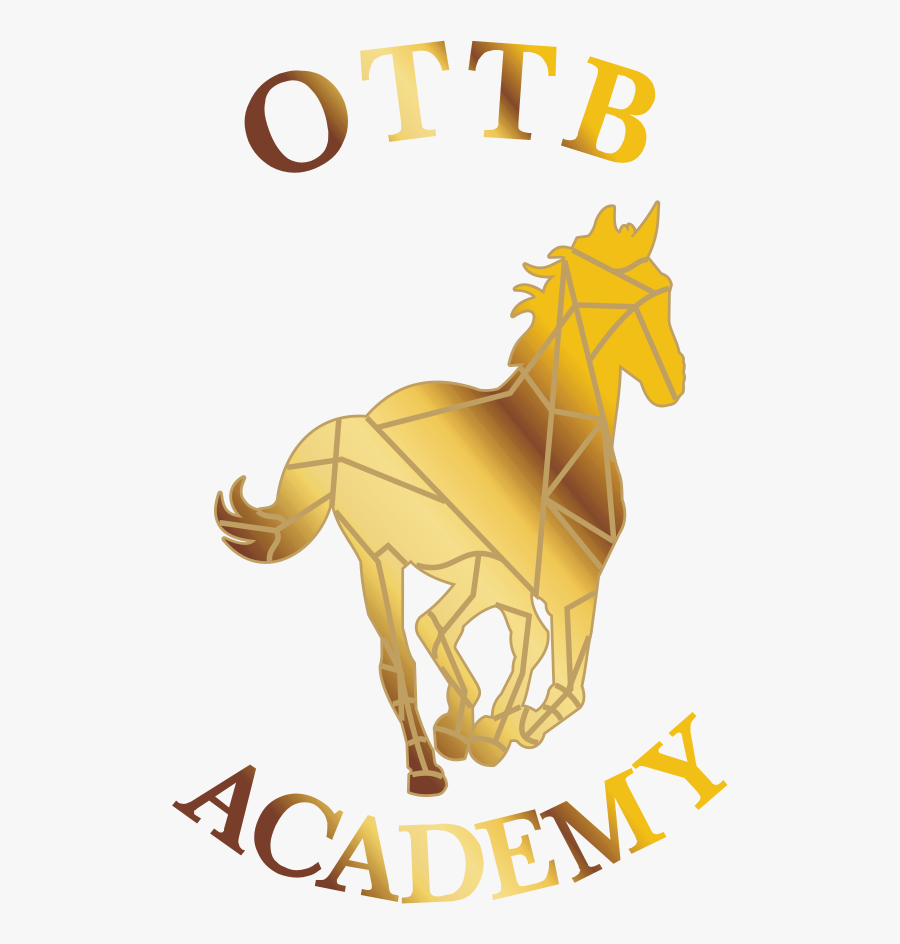 Transparent Massage Therapist Clipart - Sorrel, Transparent Clipart