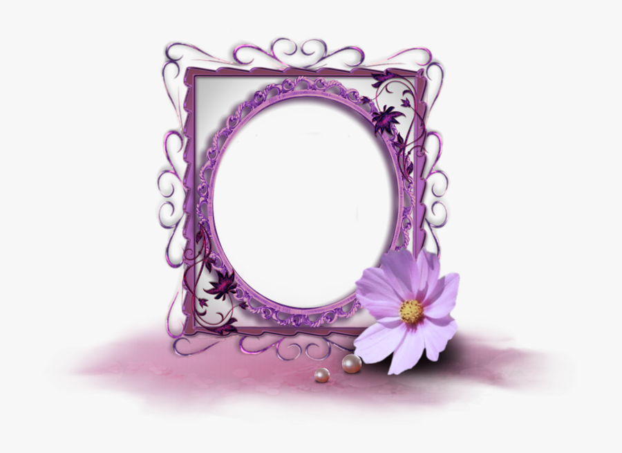 Purple Picture Frame Flower, Transparent Clipart