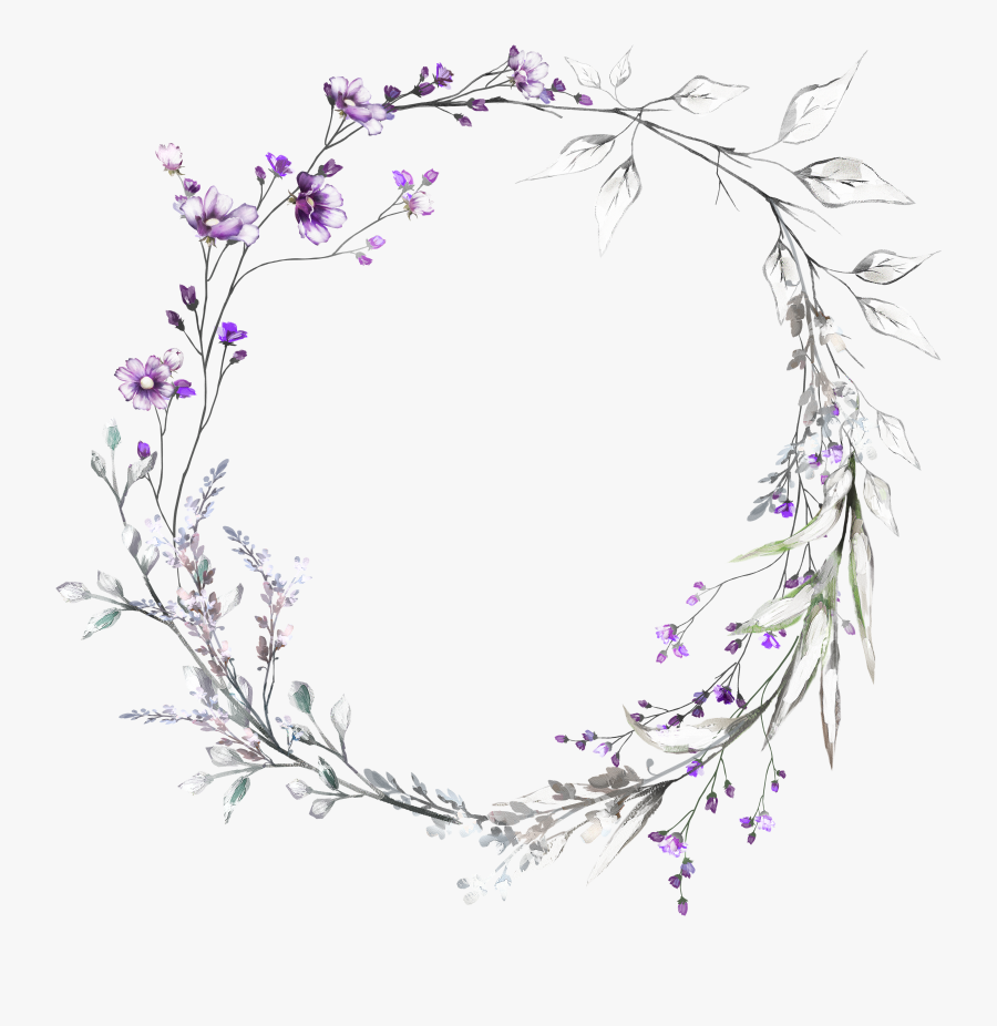 Lavender Flower Drawing Pictures And Cliparts, Download, Transparent Clipart