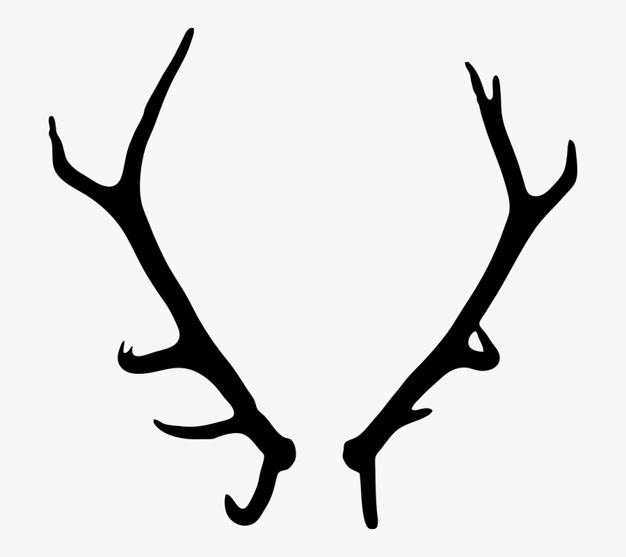 Antler Clipart Wildlife, Transparent Clipart